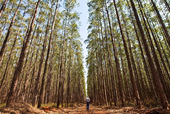 Pöyry destaca o papel da digitalização na sustentabilidade industrial durante a 9ª Semana de Celulose e Papel de Três Lagoas
