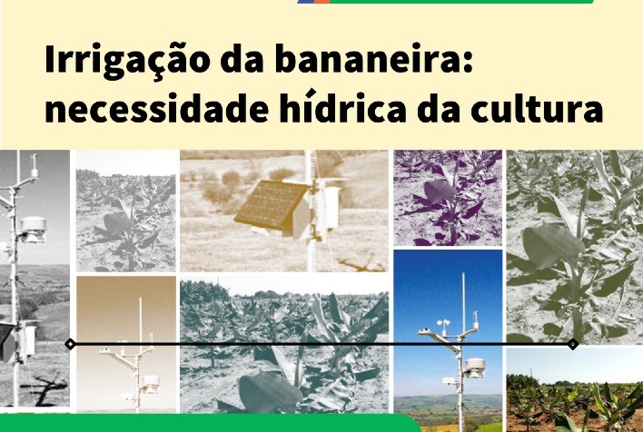 Irrigação da bananeira é tema de novo curso a distância da Embrapa