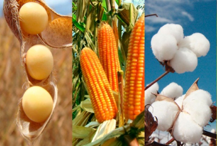 xarvio® e Metos firmam parceria no Brasil para monitorar pragas em soja, algodão e milho em tempo real