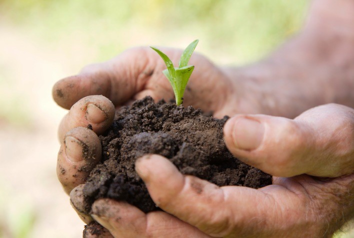 CPR Verde poderá ser usada em operações que envolvam conservação e recuperação de florestas nativas