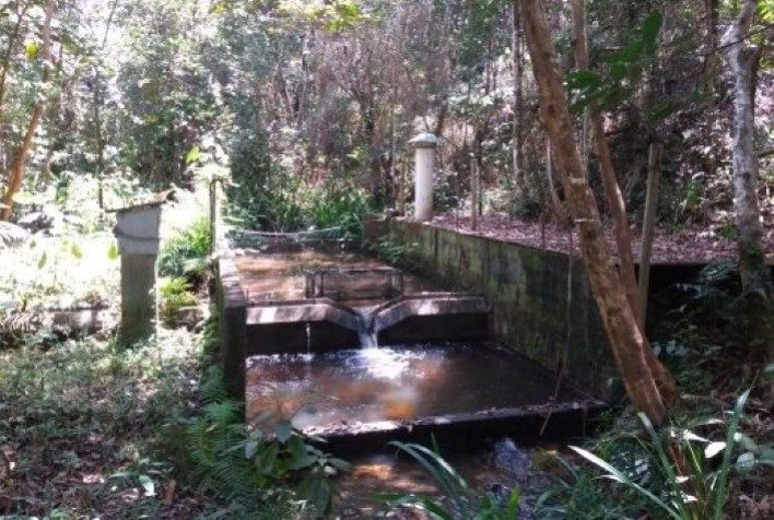 Manejo de florestas de eucalipto não impacta a qualidade da água de microbacias: É o que revela resultados de 15 anos de monitoramento no Sul da Bahia