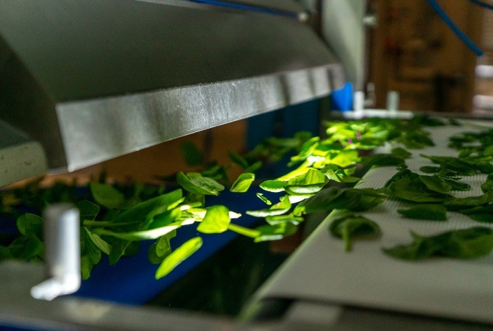 TOMRA Food: Ajudando os processadores de vegetais a obter segurança alimentar e qualidade do produto