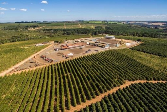 Os desafios do setor cafeeiro para manter a produção e exportar o produto