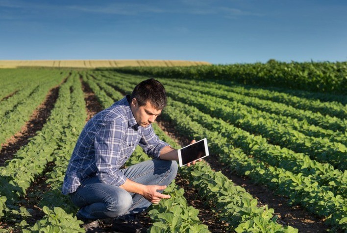 Dia do Agrônomo: Soja e arroz impulsionam crescimento do agronegócio no Brasil
