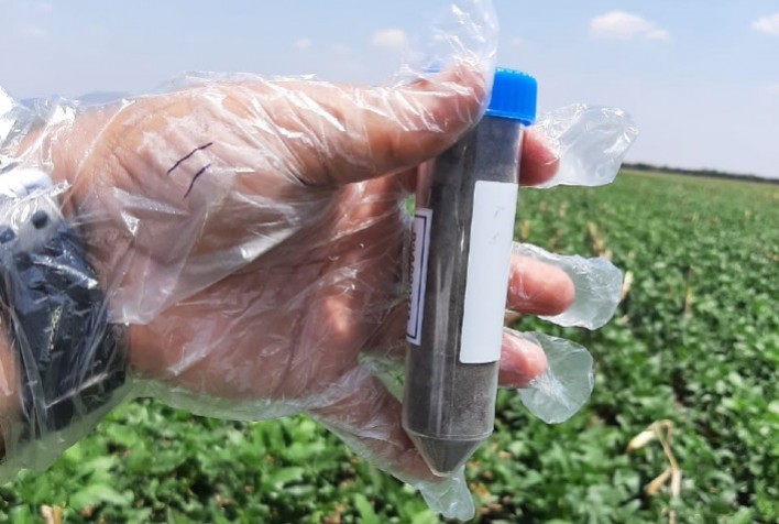 Maior projeto de mapeamento genético do solo brasileiro conta com investimentos de R$ 29 milhões