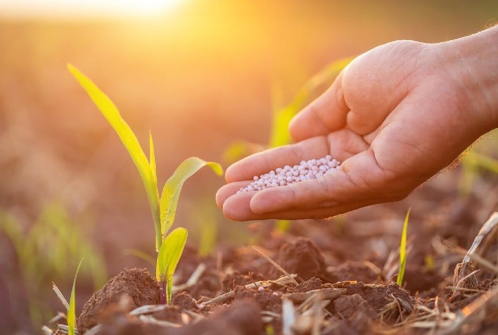 Adubação Biológica com Microgeo®️ apresenta aumento superior a 30% de massa verde em pastagens