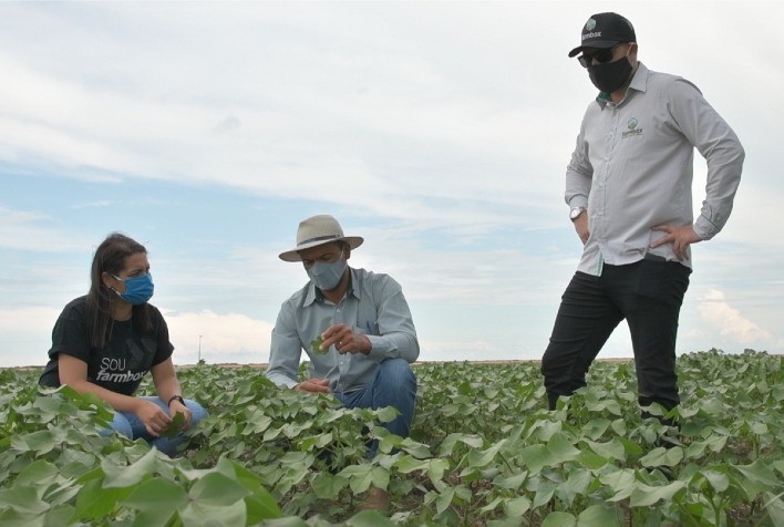 Gestão digital nas propriedades rurais auxilia na implantação de práticas ESG