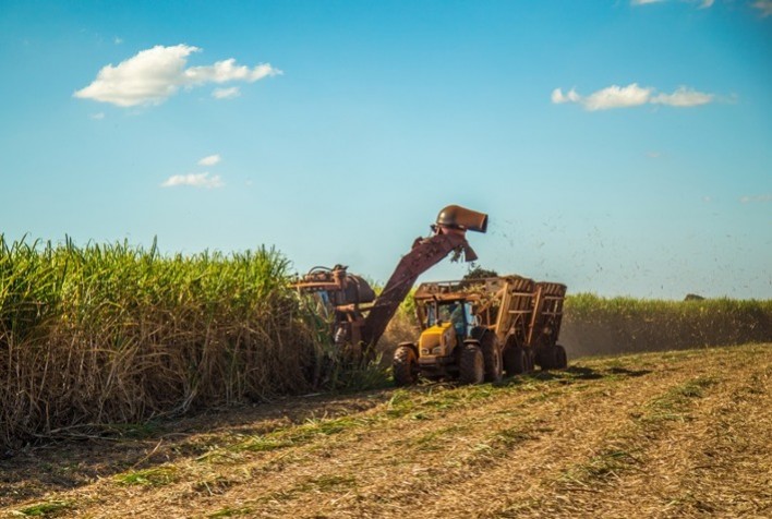 Cana: Apesar da queda na moagem, produção de etanol anidro cresce 8,24%, diz Unica