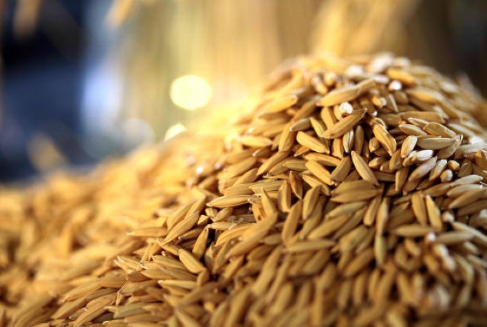 Arroz: Mercado interno segue lento; dólar alto eleva exportações