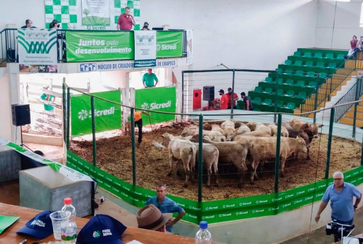 Boviexpo movimenta mais de 829 mil reais em negócios