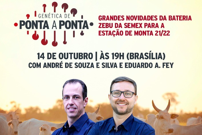 Semex Brasil apresenta 12 touros da raça Nelore no Genética de Ponta a Ponta