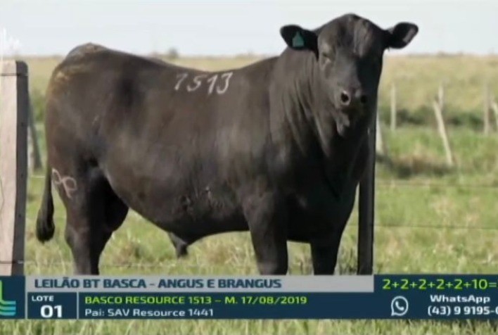 Basca fatura R$ 1,49 milhão em noite de pista ágil