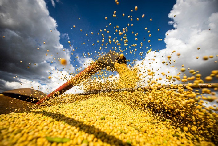 Soja brasileira safra 2020/21 está 90,8% comercializada, aponta DATAGRO