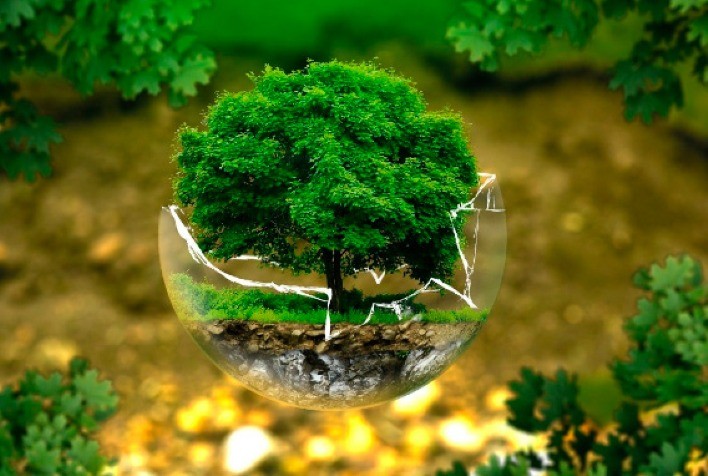 CNA discute distribuição dos créditos de descarbonização