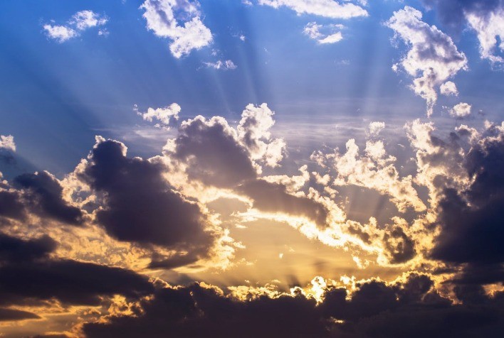 Ibá lança infográfico sobre mudanças climáticas para a COP-26