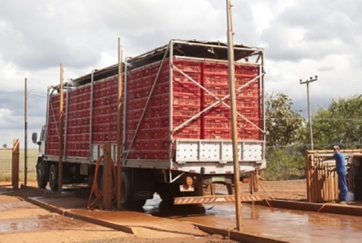 Segurança no transporte de cargas e de trabalhadores rurais