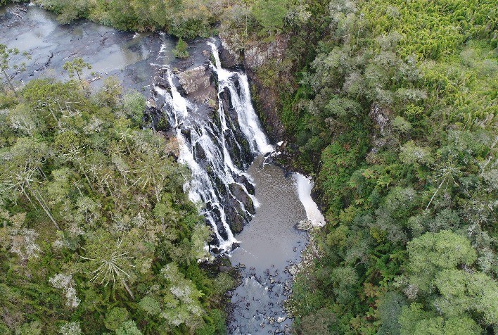 Estudo sobre disponibilidade de água nas florestas plantadas WestRock vence maior premiação ambiental de Santa Catarina