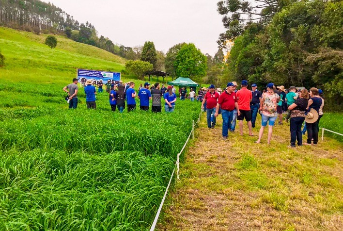 Produtores de leite de Abdon Batista participam de Campo Demonstrativo