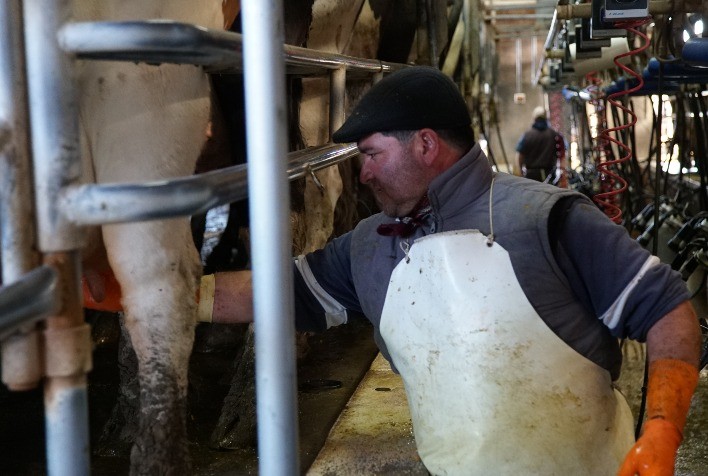Boehringer Ingelheim promove dias de campo para combate à Diarreia Viral Bovina (BVD) em diferentes regiões do Brasil
