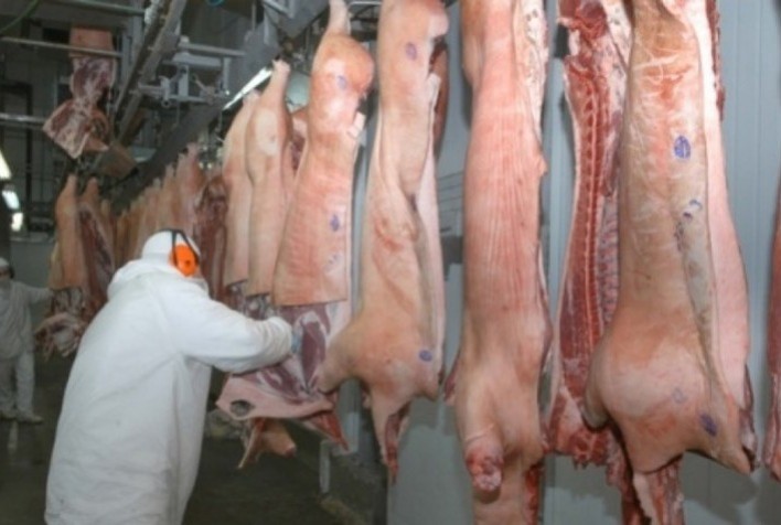 Exportações de carne suína atingem 50,080 mil toneladas em outubro – Secex