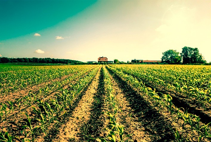 BB Seguros discute Tendências Climáticas para a safra de verão