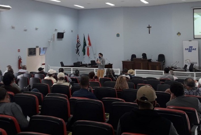 Produtores se articulam para obter indicação geográfica da banana do Vale do Ribeira