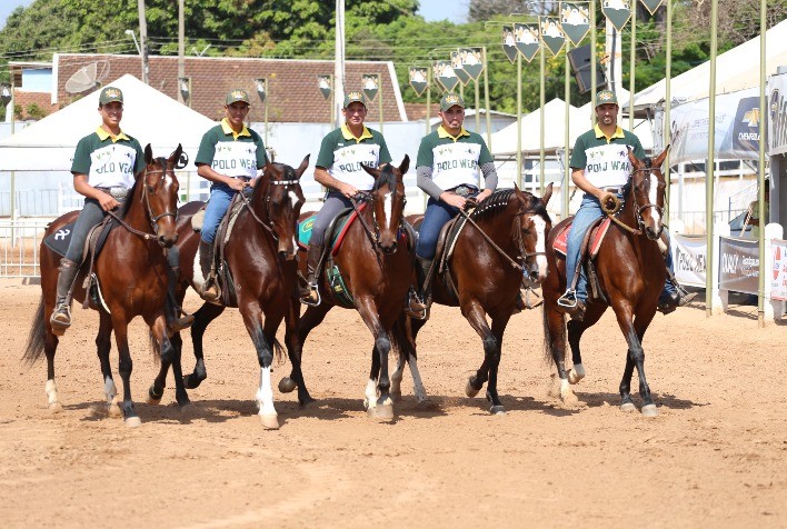 43ª Expo Nacional: ABCCRM lança campanha Mangalarga do Brasil