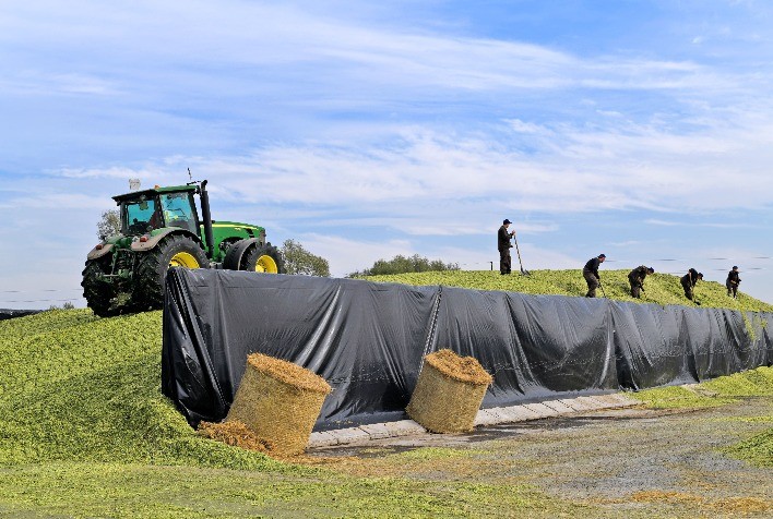Tecnologia inédita de inoculantes para silagem chega ao Brasil