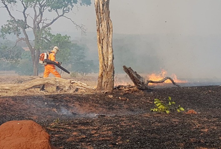 JBS amplia esforço de monitoramento e combate a incêndios no Pantanal