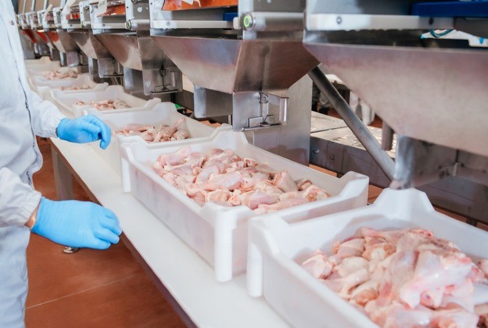 Carne de frango permanece como oitavo principal gerador da receita cambial brasileira