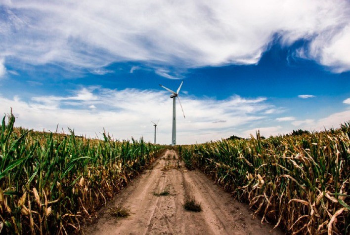 Energia eólica: conheça a tecnologia de funcionamento por trás dos gigantes da energia renovável e não poluente