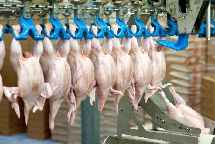 Carne de frango: entre os quatro itens exportados, frango inteiro é o de maior valorização no ano