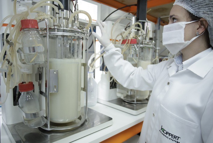 Koppert comemora 10 anos no Brasil com crescimento médio de 29% ao ano