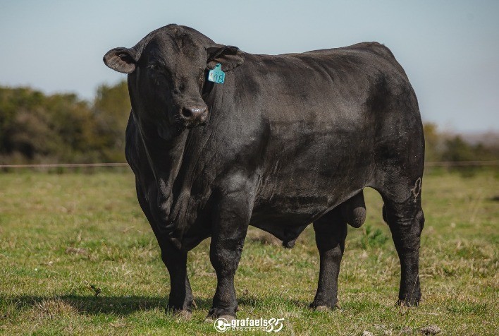 Ultrablack tem novo recorde de preço