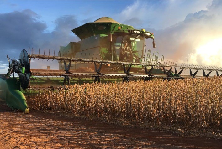 Fazendas de Mato Grosso, Rondônia e Pará formam região com maior produção de soja certificada RTRS do Brasil