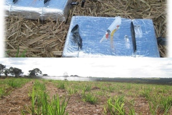 Estudos da Embrapa indicam estratégias para mitigar emissão de óxido nitroso no cultivo da cana-de-açúcar