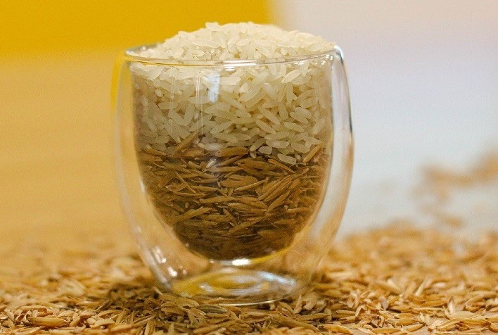 Da plantação à mesa: como funciona a cadeia de suprimentos do arroz?