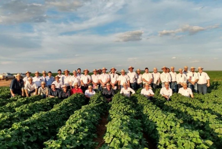 Com apenas uma safra de adubação biológica, plantação de algodão já apresenta incremento na produtividade