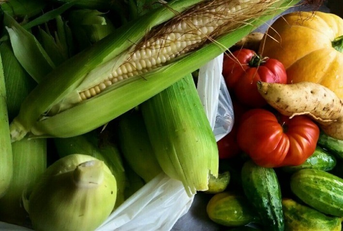 Sensor detecta bactérias e pesticidas em vegetais