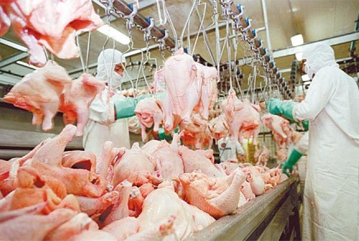 Uruguai quer recuperar terreno perdido na exportação de carne de frango