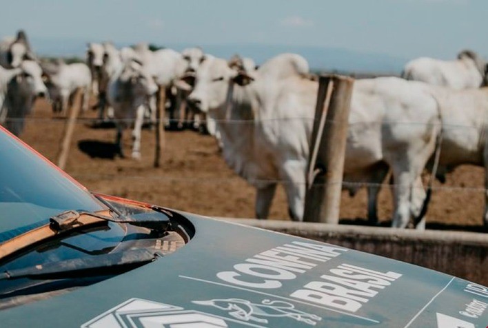 Confinamentos brasileiros investem mais em tecnologias para gestão da fazenda, aponta Beckhauser