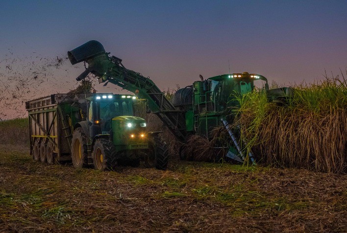 Canaviais ganham reforço de peso no controle de plantas daninhas  resistentes