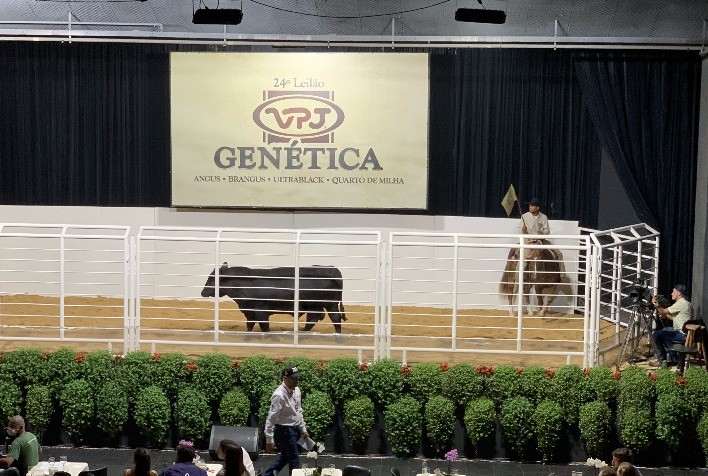 Vendas das raças Angus e Ultrablack ultrapassam R$ 53 milhões em 2021