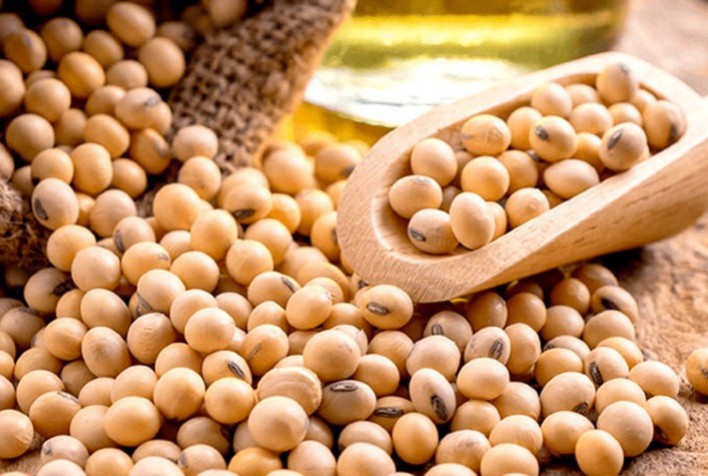 Soja: Mercado inicia semana com estabilidade na Bolsa de Chicago à espera de novidades fortes