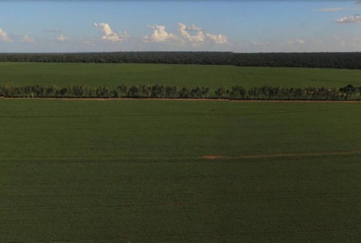 Plantação de soja certificada RTRS cresce na região central do país e beneficia grandes e pequenos produtores