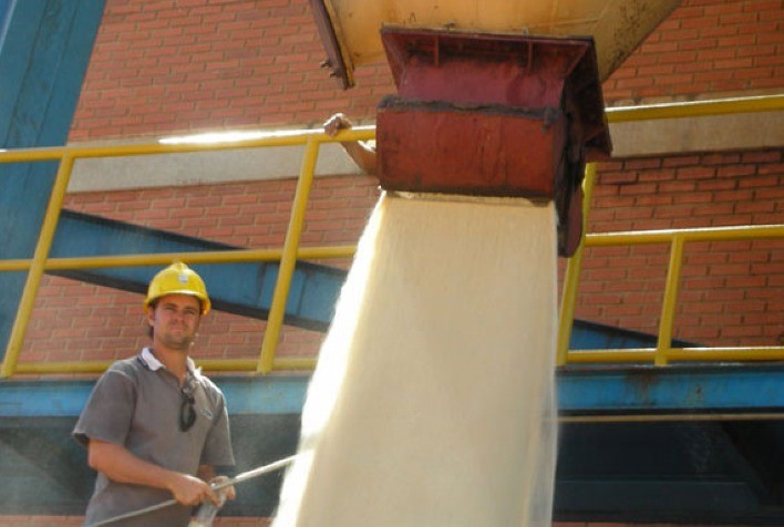 Produção de açúcar no Centro-Sul na 1ª quinzena de novembro deve recuar 63,2%