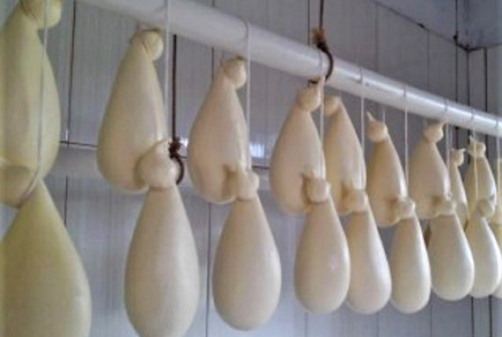 Pesquisa de identidade e qualidade do queijo Cabacinha será lançada em Itaobim