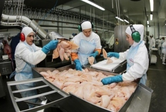 Preços externos da carne de frango recuperam-se, mas permanecem longe dos valores máximos