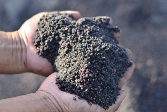 Aumentar uso de fósforo potencializa produtividade