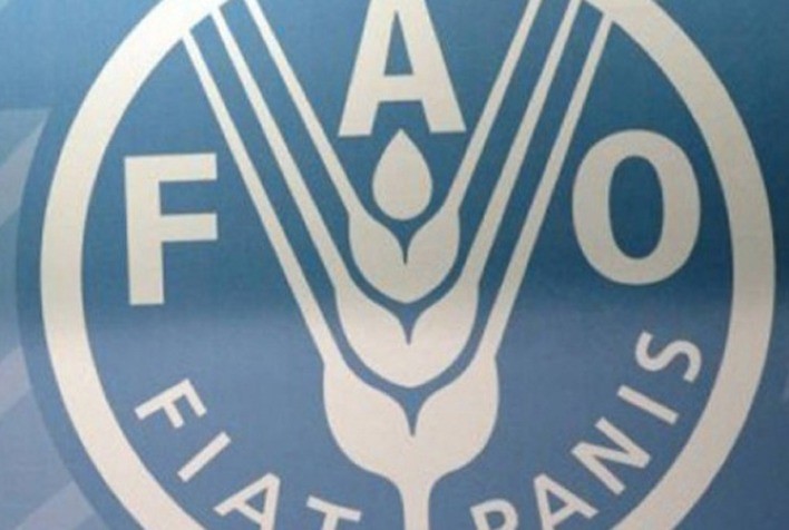 Índice de preços de alimentos da FAO sobe em novembro